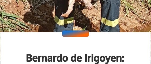 Bernardo de Irigoyen: rescataron a un cachorro que había quedado atrapado en un desagüe